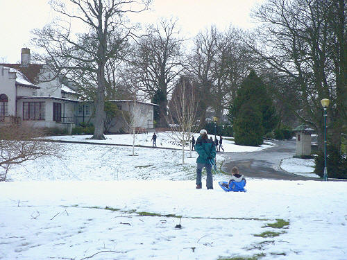 Sledging in the park