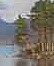 A Climb for Mary - 