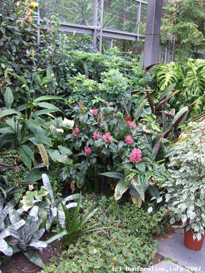 In the greenhouse